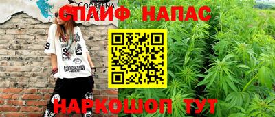 мдпв Жуковский