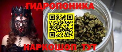 мдпв Жуковский