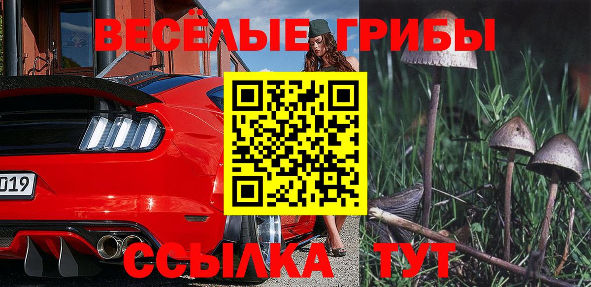 Псилоцибиновые грибы GOLDEN TEACHER Малгобек